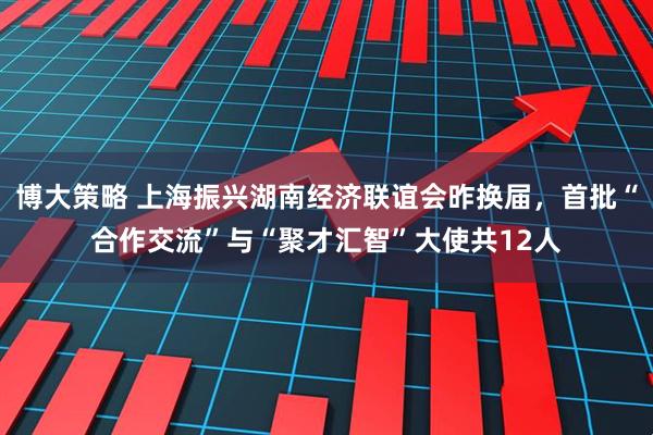 博大策略 上海振兴湖南经济联谊会昨换届，首批“合作交流”与“聚才汇智”大使共12人